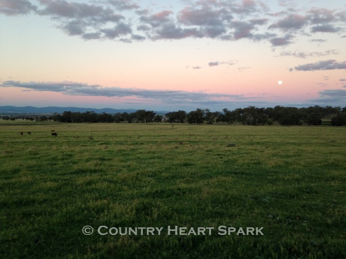 01 Under a Beautiful Pink Sky on Dusk