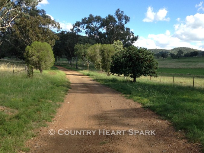 03 Road Well-travelled Leading on Home