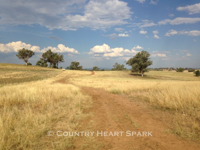 08 A Windy Track Beneath a Cloudy Blue Sky