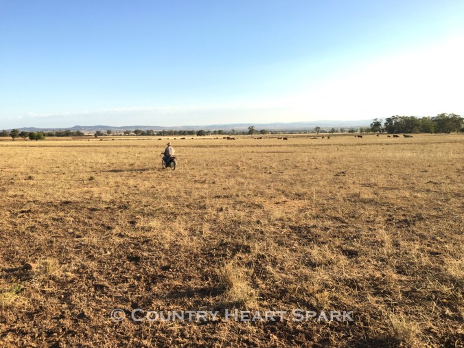 11 Look for the Real Beauty