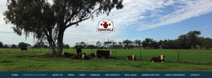 Swanvale Herefords website