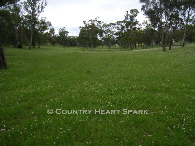 21 Times Gone By at Kokoda