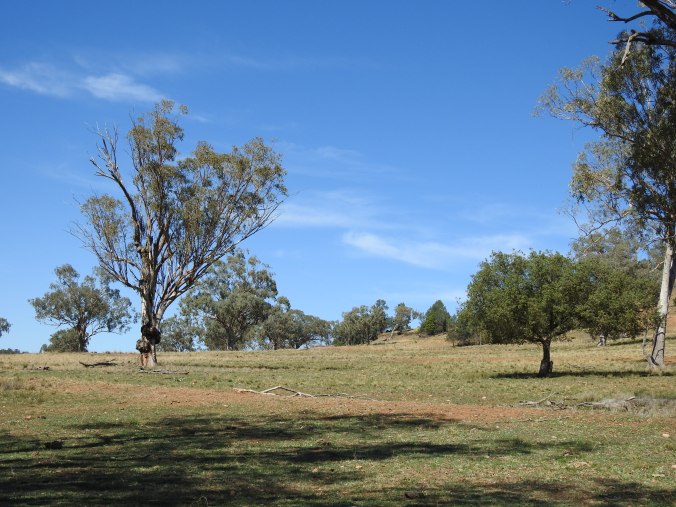 29 Life Chapters Analogy